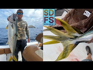 San Diego Sportfishing | Coronado Islands YELLOWTAIL | BLUEFIN TUNA Fishing Offshore Solo Skiff SDFS