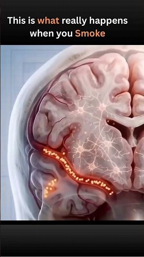 The Shocking Effects of Smoking 🚬 on Your Lungs 🤯 | The Truth in 3D Animation