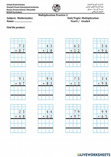 Long Multiplication practice exercise