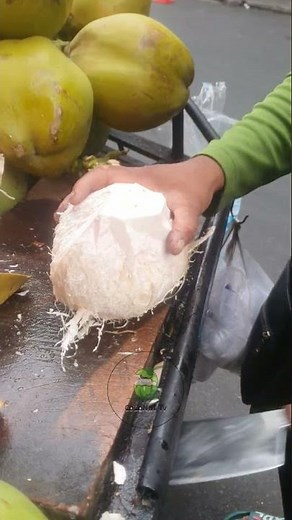 Coconut Cutting Techniques & Tips The Ultimate Guide