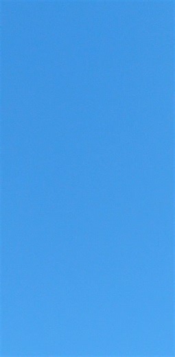 Hawk Relative Circle over me and Nova Marie We Are Honored Wado thank you We Are Blessed The Ancestors Are Good To Us. X 🧡🖤✊🏽🐺 | Wolf Knight