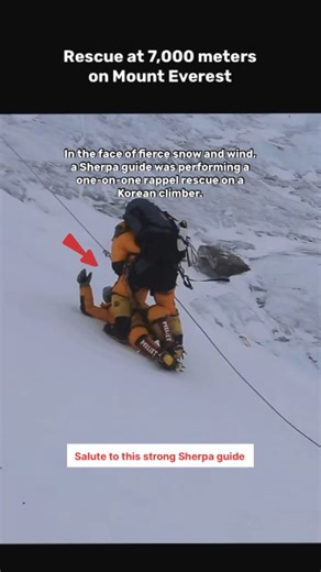 Sherpa guides in a life-and-death rescue at 7,000 meters on Mount Everest During the Mount Everest climb, a life-saving rescue took place on the Lhotse Ice Wall above an altitude of 7,000 meters. In the face of fierce snow and wind, a Sherpa guide was performing a one-on-one rappel rescue on a Korean climber. Those who have seen "Everest Cleaners" know that high-altitude rescues pose immense risks to the rescuers, who might even lose their lives. Especially in such one-on-one rescues, physical s