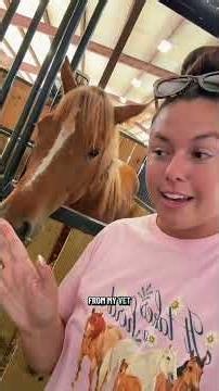 Millie and Kirby go out together! Part 1#katievanslyke #horse #foals