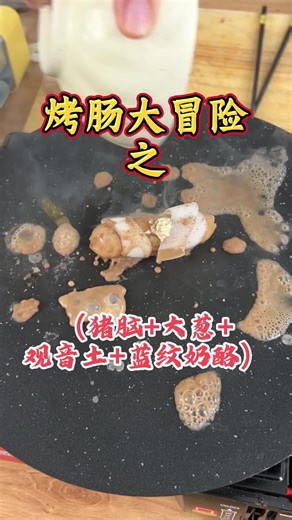 嗯？？？猪脑 蓝纹奶酪 大葱 观音土 能吃？