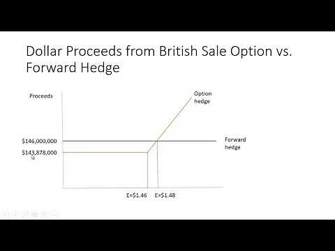 Transaction Exposure Options Hedge