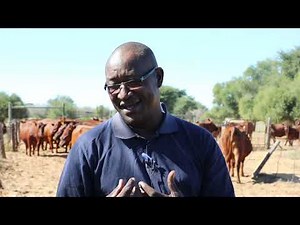 North West Bonsmara Stud Breeder - Mr Moalusi Duncan Serapelwane