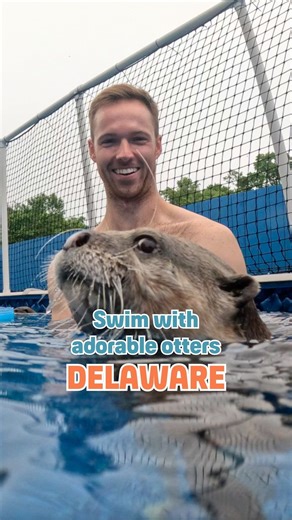Hunter Hulbert on Instagram: "I cannot handle this level of cuteness. 😭 Swimming with otters in Delaware is hands down one of the coolest things I’ve ever experienced in America. Here’s what you should know before you go: 🦦 The otter swim lasts 45 minutes and is $200/person as a standalone activity or $300/person with the full Encounter Tour. 🦦 As for other encounters, you have the option of petting/feeding a capybara, feeding a sloth or seeing an owl up close. 🦦 The basic Encounter Tour ($6