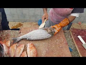 Amazing Way of Red Snapper Skinning and Cutting। Red Snapper Fish Cutting Skills। Tiny Red Snapper