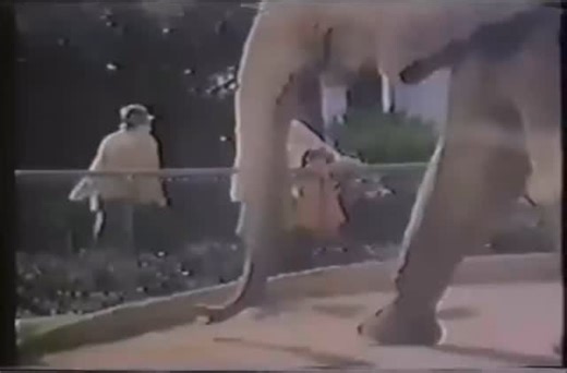 @cattlemensclub on Instagram: "First time I saw this commercial I thought the kid was about to get tossed to the elephants! 😂 Just another great vintage Linda Gray commercial! #leggs #lindagray #dallastv #vintagecommercial #classictv"
