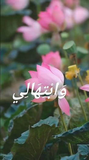 Qad Kafani Ilmu Rabbi | Beautiful Arabic Nasheed 2026 | Heart Touching Islamic Nasheed