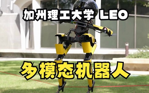 加州理工学院LEO-多模态运动机器人，机器人莱昂拉多 Robot Leonardo，飞行 、行走机器人、走钢丝机器人，滑板机器人