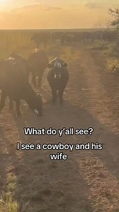 What do you see in this cow's markings? #LongLiveCowboys #WranglerWestern #Ranching | Wrangler Western