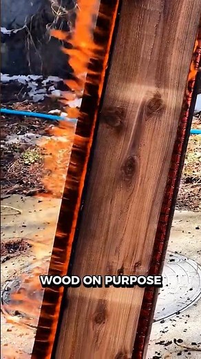 Charred Wood: Japanese Art of Preserving Wood with Fire