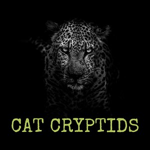 Three Cat Cryptids: White Death, Wampus Beast, and Cactus Cat