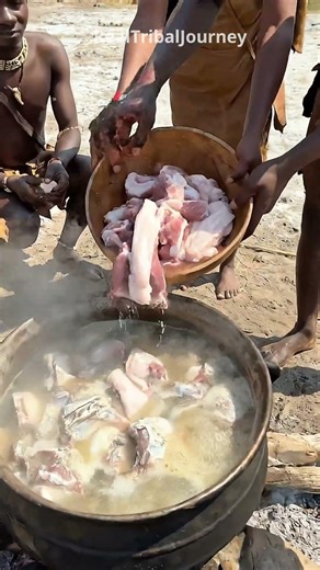 They Cook a Giant Python! Hadzabe Camp Feast #triballife #tribalfeast #primitivecooking