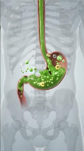 🍏 What Happens When You Drink Green Apple Juice? | Inside Your Body | Amazing Journey