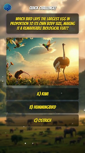 Fastest Bird Brain Teaser! 🧠🐦 #BirdFacts #QuizTime | Quick312 Can you guess the fastest bird correctly? Test your knowledge and challenge your friends! Follow for daily brain teasers! #BrainTeasers #Riddles #Puzzles #MindGames #Trivia #interestingfacts #challenge #funfacts #didyouknow | Mind Benders