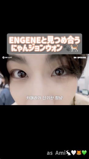 ENGENEと見つめ合うにゃんジョンウォン🐾🐈 #enhypen #엔하이픈 #jungwon #정원