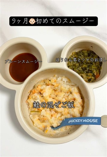 オーガニックのスムージー美味しかった様で安心しました😮‍💨 初めてあげるものは食べてくれるか不安で食べてくれなかったらもう終わりだから難しい🫠 私も少し味をみてみましたが、プルーンの味はしっかりするけどあとから甘味がきておいしかったです😋 おかずを何品も毎日あげてるママさん本当に尊敬します🥺 #赤ちゃんのいる生活 #生後9ヶ月 #離乳食 #育児 #新米ママ