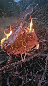 HOW TO START A CAMPFIRE YOUTUBE SUPERSTAR IN ACTION ALL NATURAL