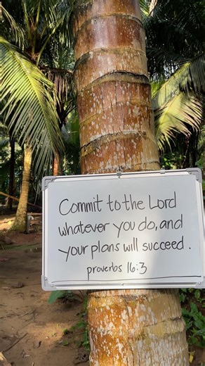 Provebs 16:3 “Commit to the Lord whatever you do,and your plans will succeed.” #shorts