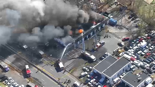 Two cats rescued during fire at tire shop in Sayreville, NJ