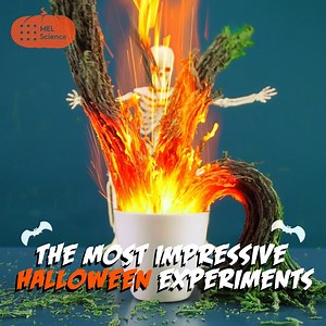 38K views · 219 reactions | Don’t worry – these experiments don’t bite (much) These experiments are not included in the MEL Chemistry subscription and should be performed only by professionals–we just love showing you the beauty of chemistry For cool and safe experiments to do at home, sign up for MEL Science here: https://mel.sc/sry/ | MEL Science | Facebook