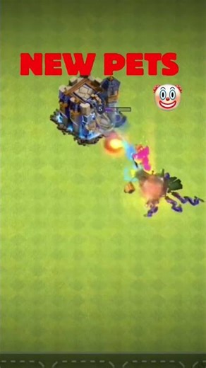 PETS NOW VS PETS BEFORE