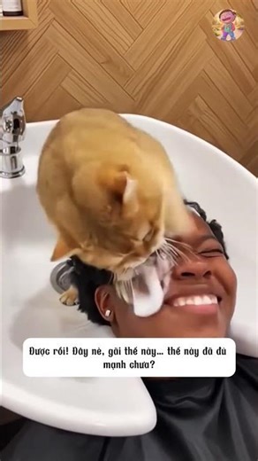 Helping to scratch an itch enthusiastically, and the unexpected outcome.