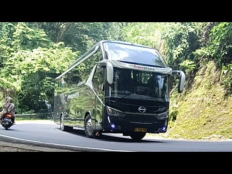 SERU💥HUNTING BUS BASURI DI AKHIR TAHUN