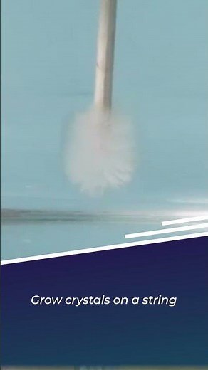 5 Fun and Easy Science Experiments for Kids at Home