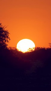 An extraordinary challenge - MDS Raid Namibia 🇳🇦 Explore the world’s oldest desert, the Namib desert, where no other races go and cover a unique route of 100 to 120km divided into 3 stages. 📆 April 26 - May 3, 2025 ℹ️ Prior experience in desert environments is highly recommended. #marathondessables #mdsraidnamibia #namibia | Marathon Des Sables