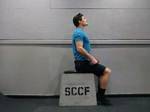 Dumbbell Seated Upright Row