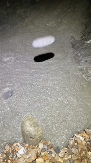 Fossil Hunting in Charmouth: A Muddy Adventure