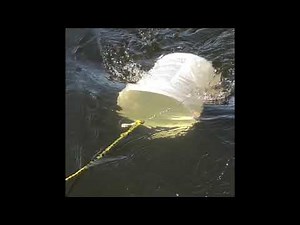 Under $5 alternative drift sock...DIY