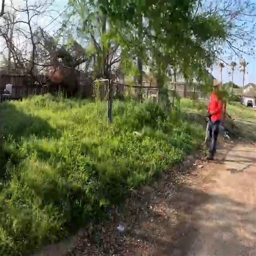 HOMEOWNER Wasn’t Home, But NEIGHBOR was So FED UP, That HE TOLD US To Go AHEAD and CUT It | Lawn Care Services