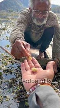 Water Chest Nut Farming In Asia's Largest Fresh Water Lake #shorts #ytshorts #youtubeshorts
