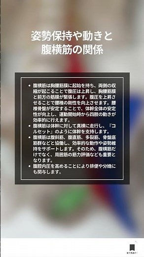 腹横筋の機能と解剖を徹底解説 〜学生・新人理学療法士、作業療法士のためのスキルアップガイド〜#理学療法士 #作業療法士 #腹横筋 #リハビリテーション #筋力評価 #解剖学 #療活してる