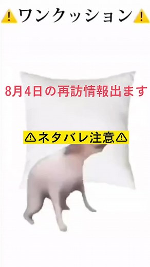 Sky星を紡ぐ子供たち再訪ガイド