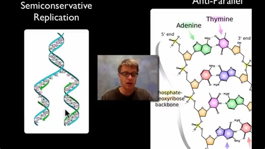 DNA Replication_Bozeman Science