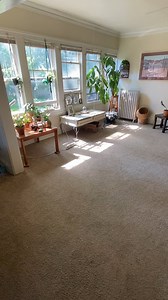 I have this large living room with lots of windows and I’d like it to feel cozy but I have no idea what to do with all the space. Please help!