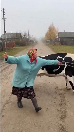 Shocking Moment! Cow Attacks an Old Woman 😱