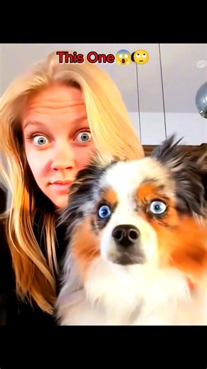 Other Cats Imitation Vs This Dog Part 2 😱#shorts #viral #edit