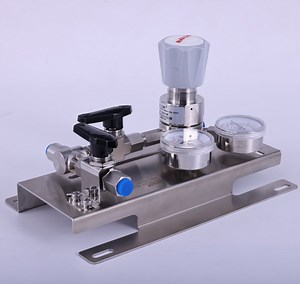 [Hot Item] 316 Stainless Steel High-Pressure Gas Regulator 250 Psi, Adjustable