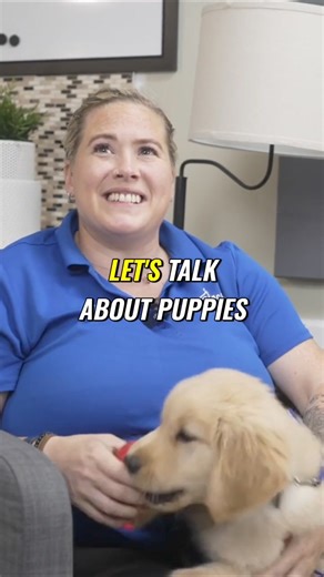 Puppy House Training Doesn't Have To Be Stressful! #dogtraining #housetraining https://loom.ly/grFmBhQ | McCann Professional Dog Trainers