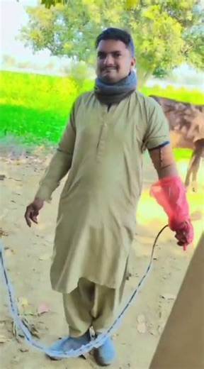 USER Dr Zeshan Yasin Using NYRO VET Ultrasound machine Best price in Pakistan Sonotech 03214456215