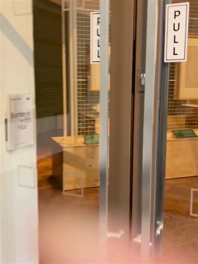 Let's continue our whistlestop tour of 'Journeys with Mai'. This major exhibition includes two large-scale moving image and audio works. 'Expedition into a Volcano' by Devon-based @mohini_chandra uses film from The Box's archives plus contemporary footage shot around Mount Edgcumbe and considers the idealised landscape suggested in 'Portrait of Mai'. 'In Pursuit of Venus [infected]' by New Zealand's Lisa Reihana animates a historic French wallpaper with the sights and sounds of dance and cultura