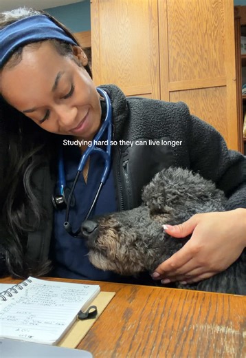 Studying for a Purpose: Becoming a Calm Future Veterinarian