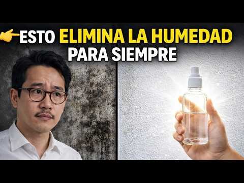 “Damp Walls: The Definitive $2 Solution That Replaces $800 Methods”