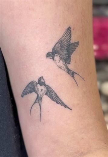 Healed Fine Line Tattoos Explained by Alex